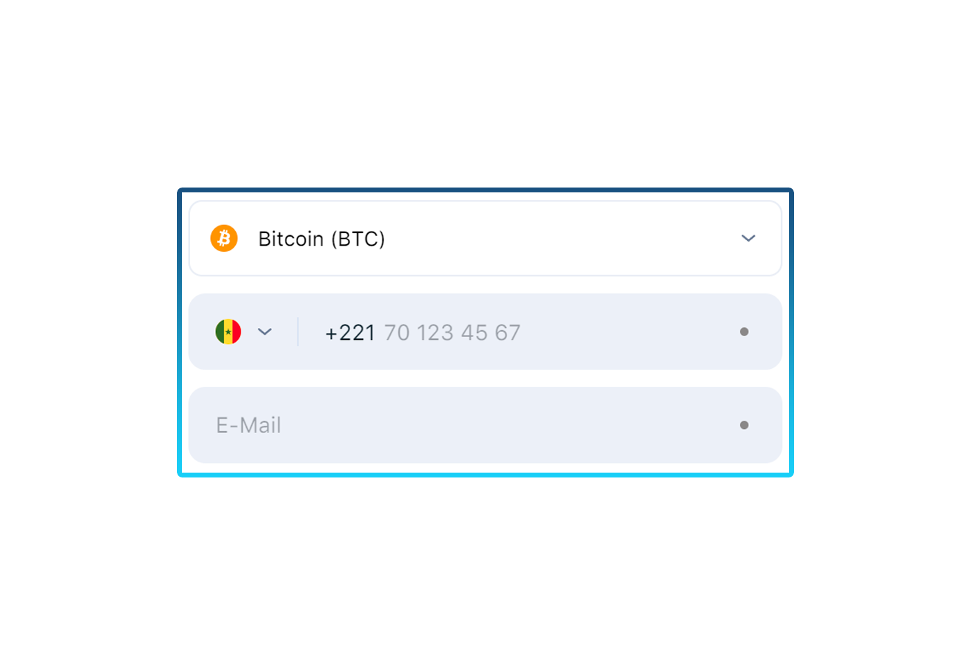 Sélection de la devise, saisie de votre numéro de téléphone et adresse e-mail